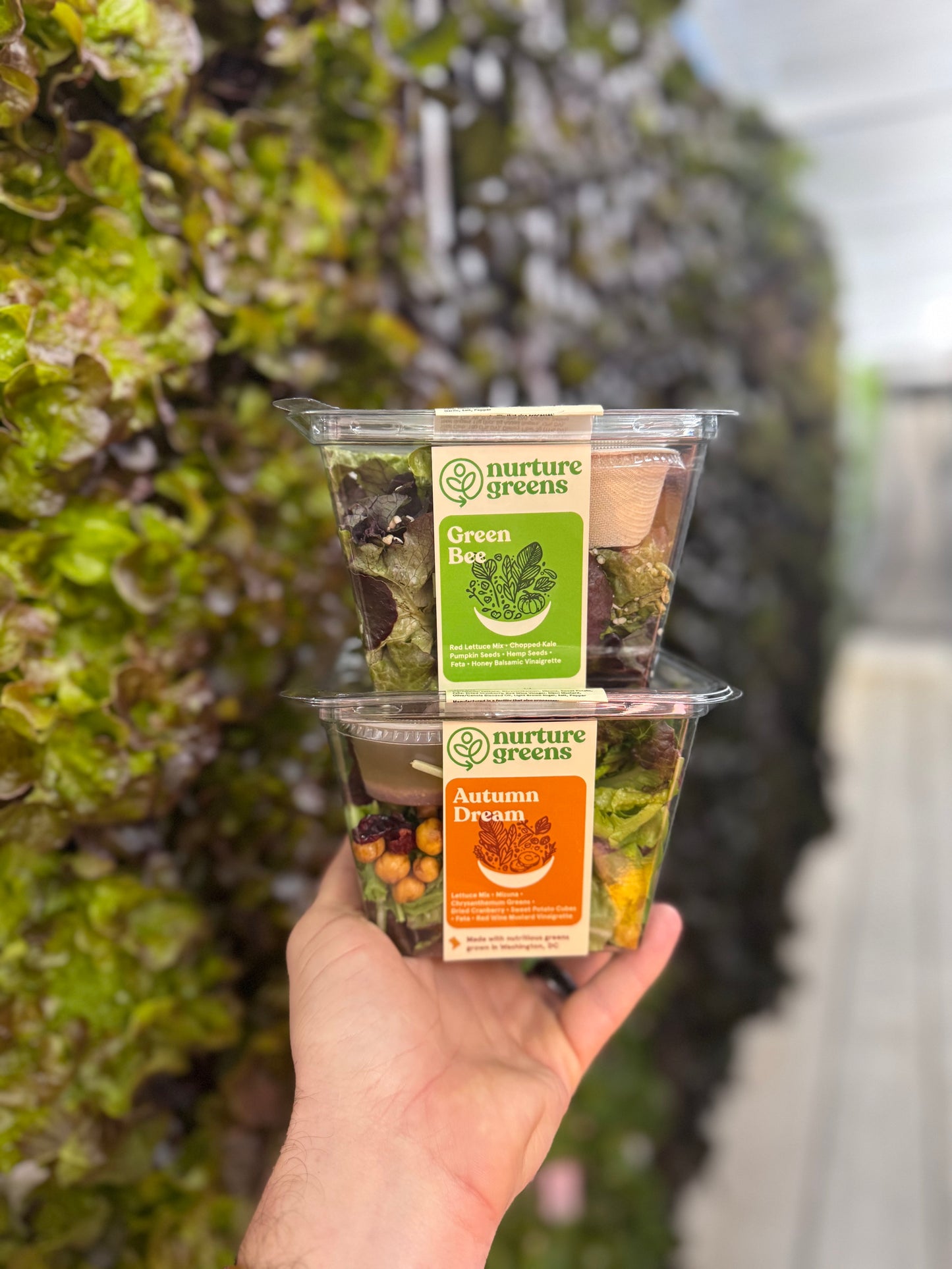 Brown Club of DC Salad Fundraiser - 6 Salad Pack
